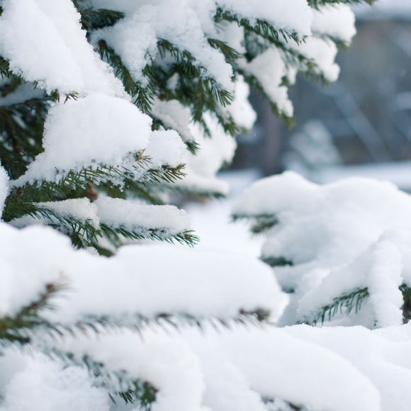 ❄️WINTER WHISPERS FOLLOW GAME❄️ - Picture 5 of 5